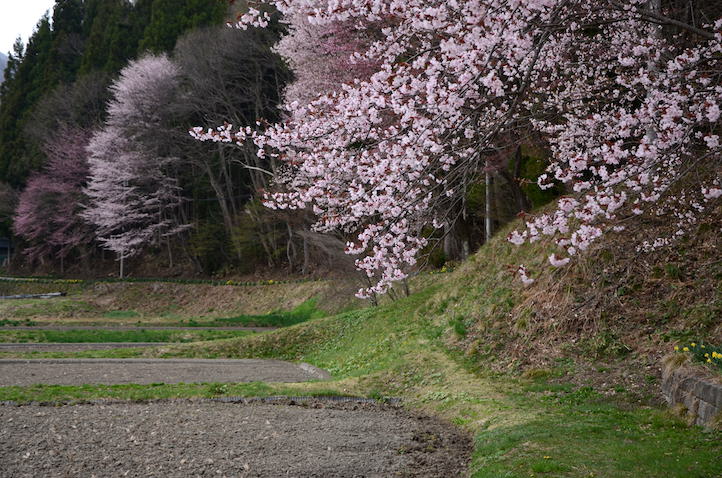 c0002943_19485011.jpg