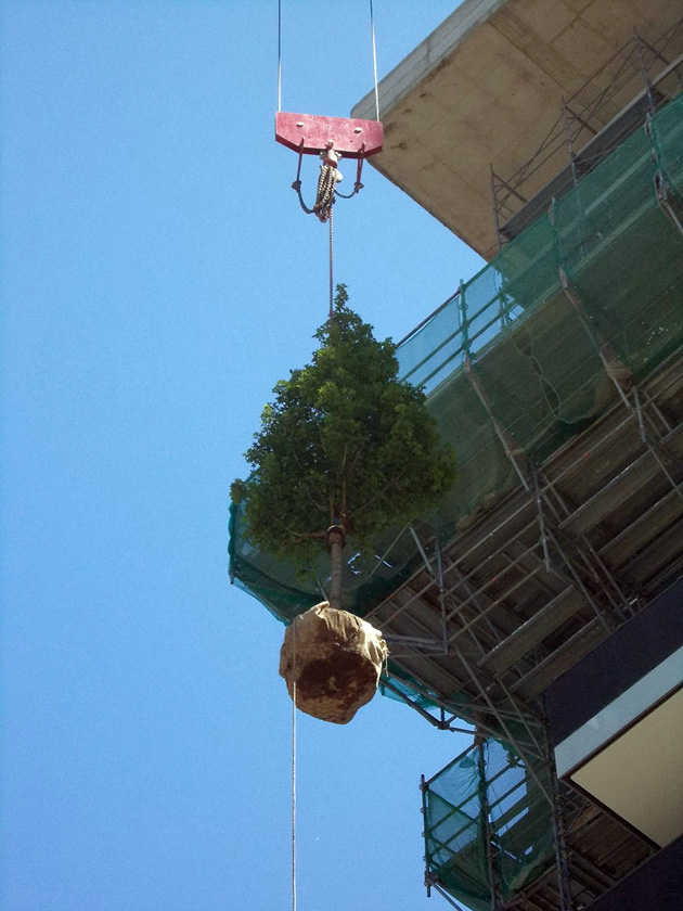 Bosco Verticale-2　「垂直の森」の植栽計画_d0262144_15365547.jpg