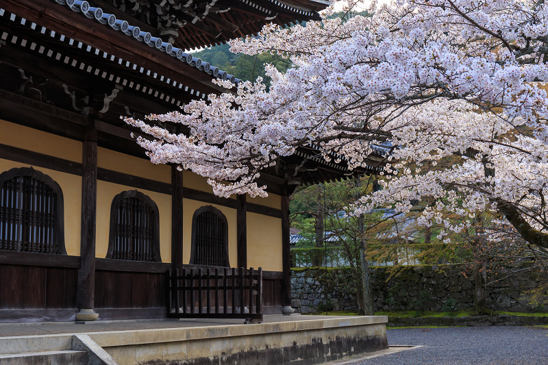 桜さんぽ（清流亭・南禅寺）_f0155048_23274117.jpg