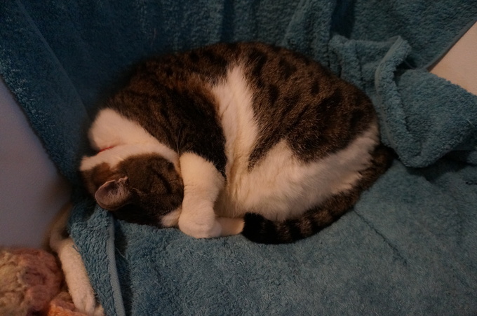 f0257756_2107.jpg