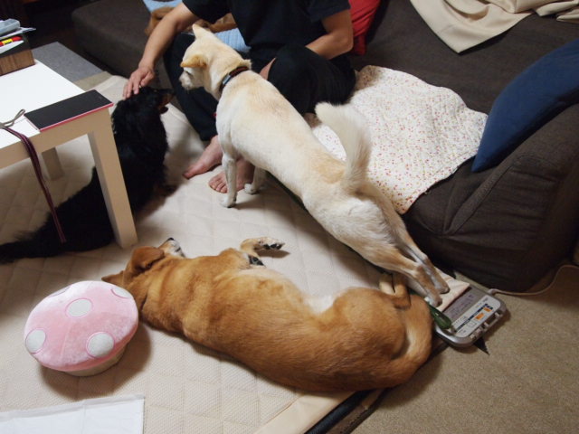 c0299657_1148172.jpg