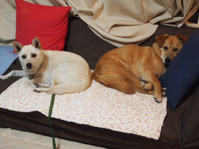 c0299657_1284042.jpg