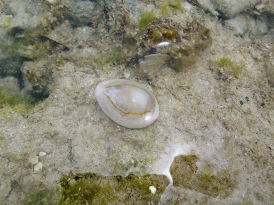 c0180460_14887.jpg