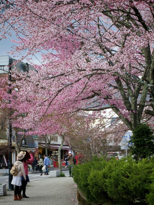 f0236260_2041115.jpg