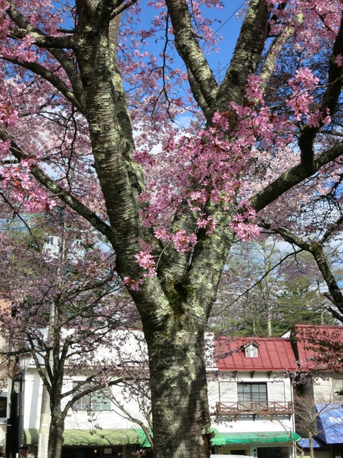 f0236260_21253530.jpg