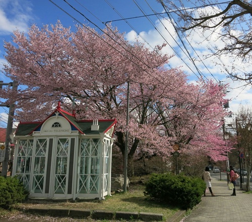f0236260_21335029.jpg