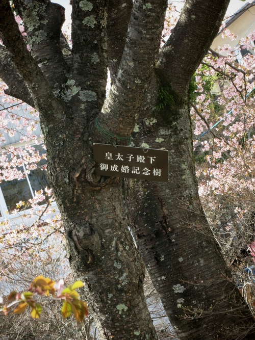 f0236260_21345010.jpg