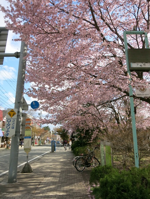 f0236260_2144891.jpg