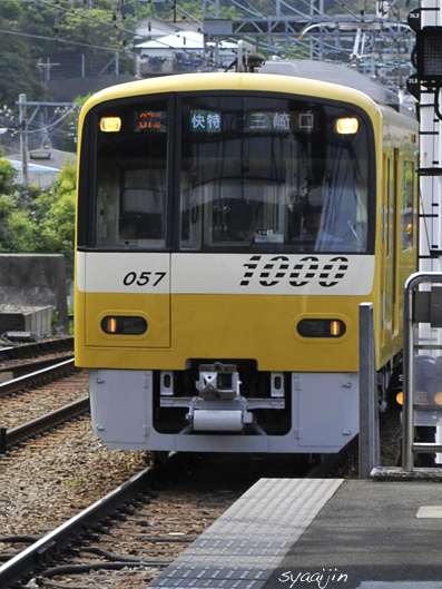 しあわせの黄色い電車 京急に 写愛館 しあわせの黄色い電車 京急に 写愛館