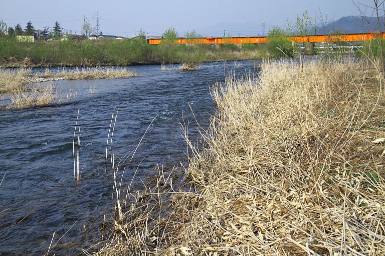 山形・長井　野川鉄道橋（４月２６日）_c0057265_3573484.jpg