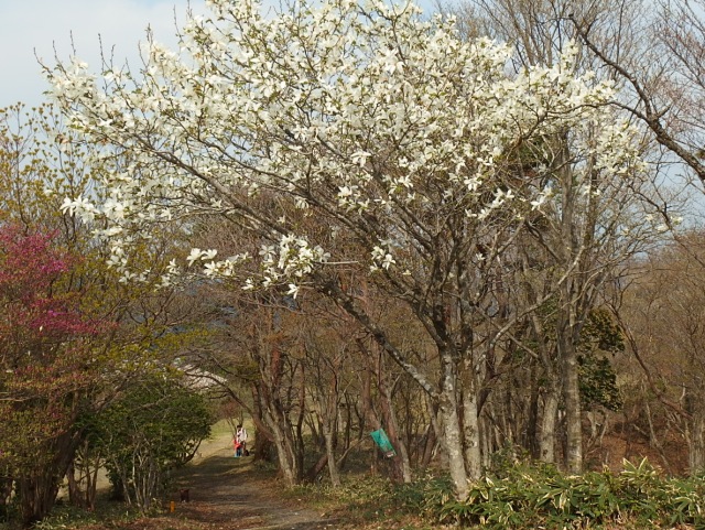 長野山、標高千メートルへ車で_d0177570_2253632.jpg