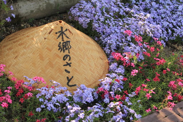 b0055171_22594757.jpg