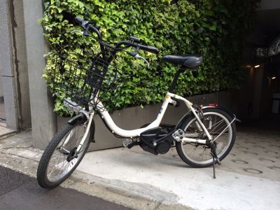 朝の自転車お散歩_c0116778_12475972.jpg