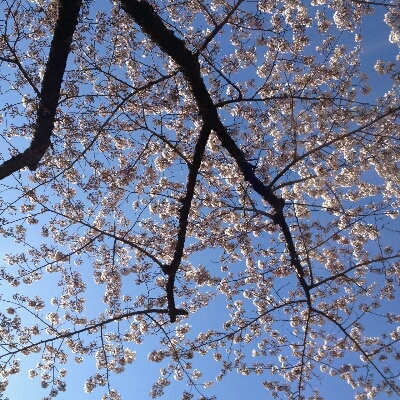 c0300778_1249859.jpg