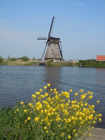 オランダ滞在4日目－チーズの街ゴーダ＆世界遺産キンデルダイクの風車群－_e0255187_3475584.jpg