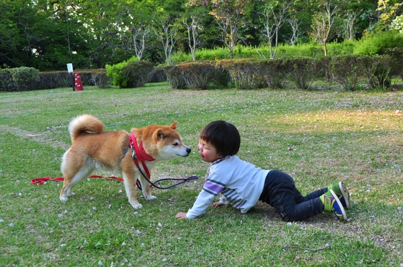 かぼちゃんとぼく_a0126590_23372417.jpg