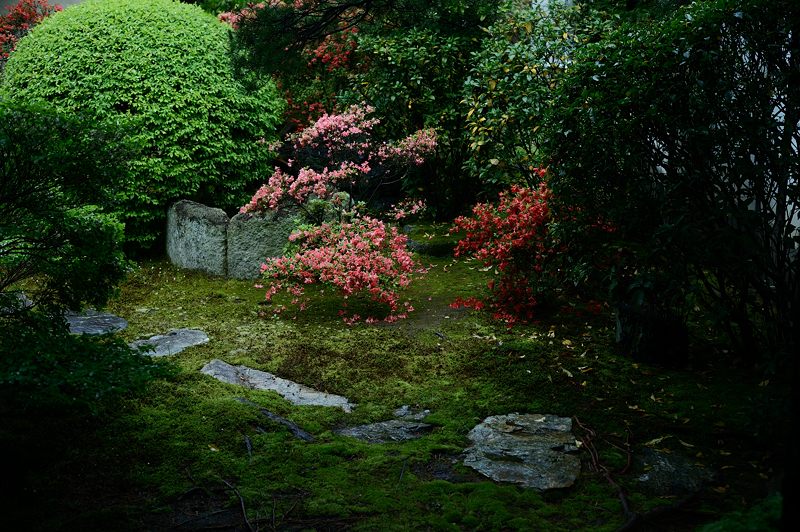 f0032011_18513324.jpg