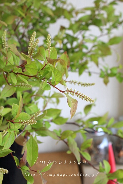 季節のコース 枝物レッスン Impression Days