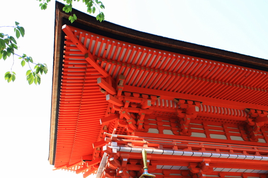 初夏の糺の森　～下鴨神社～_f0162319_22581428.jpg