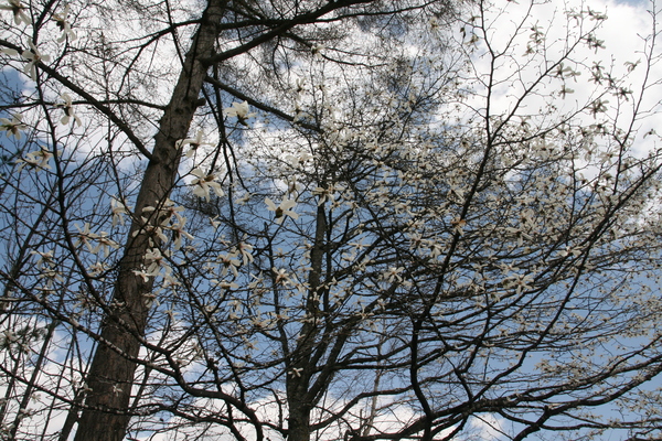 b0174425_14542222.jpg