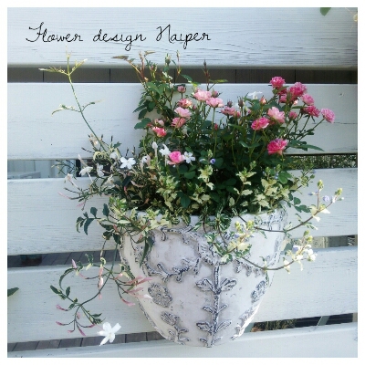 ミニバラの寄せ植え Flower Design Napier