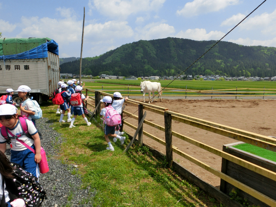 馬小屋の見学♪_e0061225_17113674.jpg