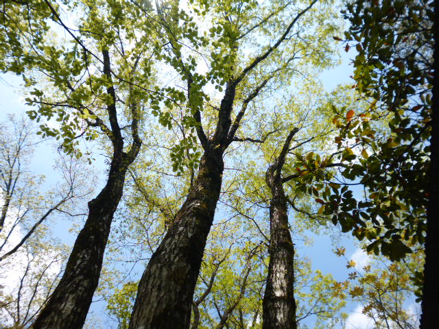 a0220528_2243869.jpg