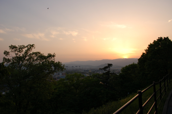 今日も足羽山にお散歩。_b0097729_19402248.jpg