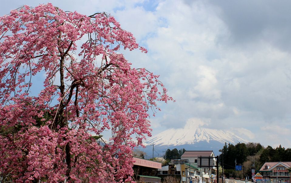 02/May 富士五湖の旅　河口湖と西湖と精進湖と本栖湖_e0149934_21274479.jpg