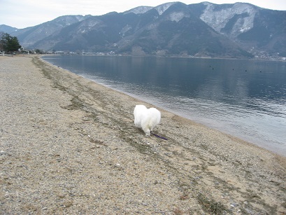 2009 琵琶湖・マキノ　（イリーナ家画像）_b0177436_1551362.jpg