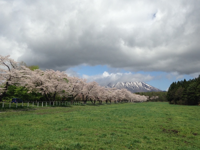 小岩井へＧＯ_e0097536_18181867.jpg