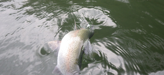 b0169939_10133117.jpg