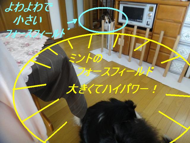 スターウォーズ的、フォース♪_e0195743_15124450.jpg