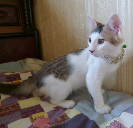 d0000247_1535754.png