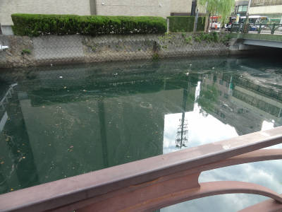 e0033751_1823042.jpg