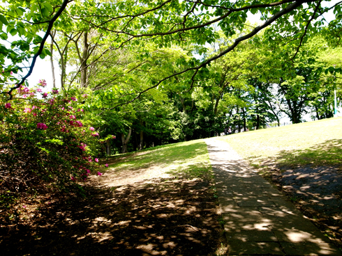 e0071652_12534695.jpg