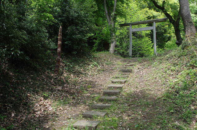 川崎　　石仏の森に新緑満ちて_c0080357_2103775.jpg