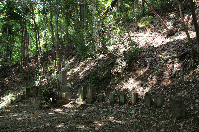 川崎　　石仏の森に新緑満ちて_c0080357_2124998.jpg