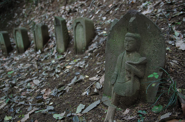 川崎　　石仏の森に新緑満ちて_c0080357_2132925.jpg