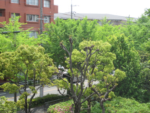 f0256164_1339873.jpg