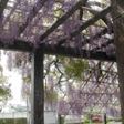 f0256164_1654247.png