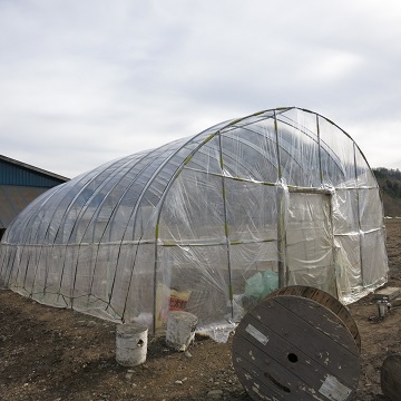 c0229165_23161528.jpg