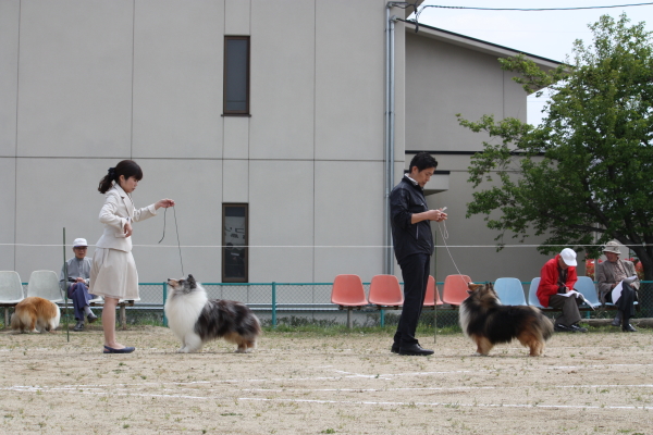 福島展_f0126965_9134476.jpg