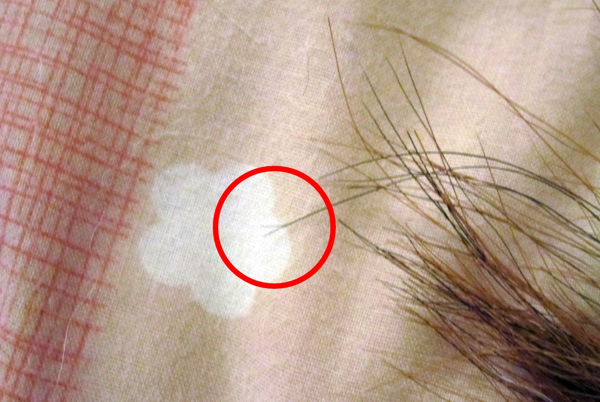 c0171368_23276.jpg