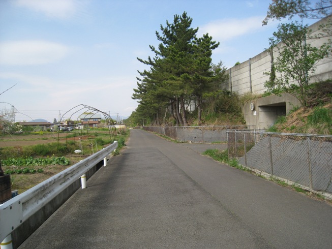 のりしろ散歩～野寺情報を求めて追分を南へ進む　⑦　野寺と上野寺情報_a0087378_1782870.jpg