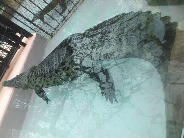 f0036678_1650127.jpg