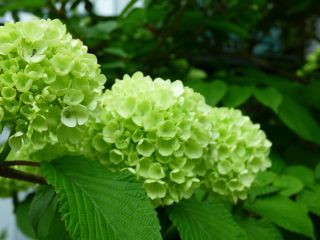 2014年5月2日　　ずっと帰りたくない_b0098584_16582789.jpg