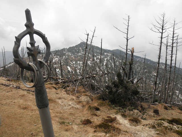 関西の最高峰・八経ｶﾞ岳（１９１５ｍ）　5月1日_d0124388_16365341.jpg