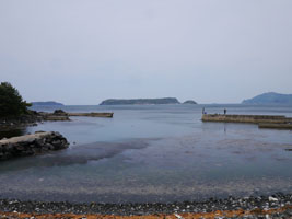 b0142989_23171358.jpg