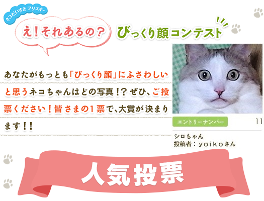 a0159490_13455967.png